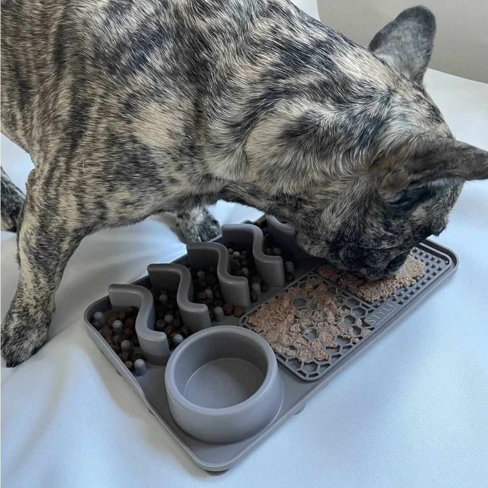 Slow Feeder Bowl Water Bowl Licking Mat for Dogs &Cats Anxiety Relief